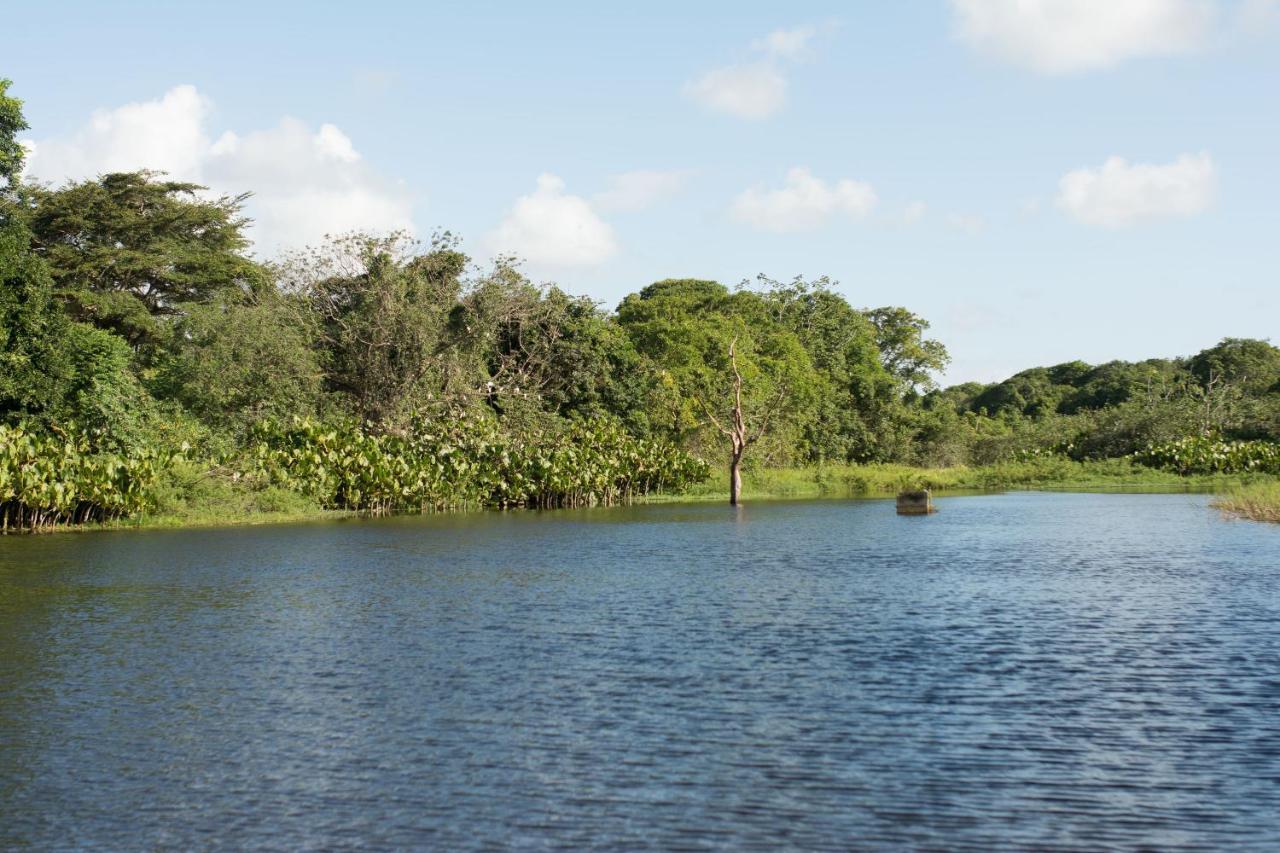 Rio Das Garcas Eco Resort São José de Mipibu Εξωτερικό φωτογραφία